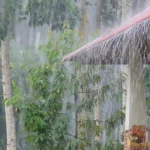 ベトナムの梅雨