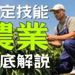 特定技能制度における【農業】分野について-概要から採用の流れまで徹底解説！